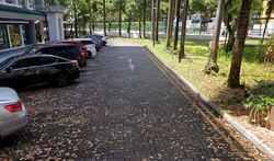 Lorong 7 Toa Payoh (D12), Shop House #546774941